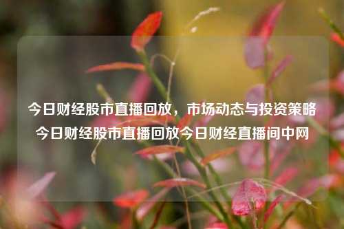 今日财经股市直播回放，市场动态与投资策略今日财经股市直播回放今日财经直播间中网