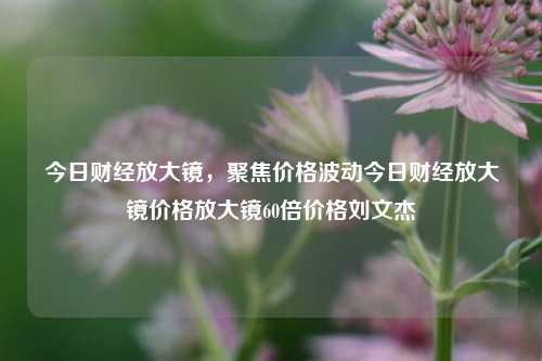 今日财经放大镜，聚焦价格波动今日财经放大镜价格放大镜60倍价格刘文杰