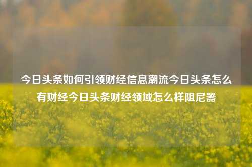 今日头条如何引领财经信息潮流今日头条怎么有财经今日头条财经领域怎么样阻尼器