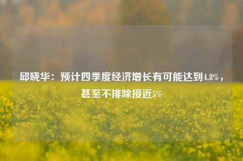 邱晓华：预计四季度经济增长有可能达到4.8%，甚至不排除接近5%