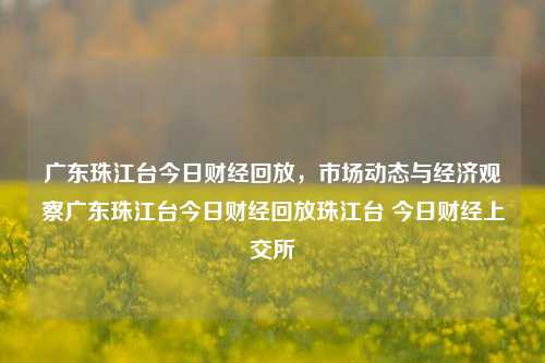 广东珠江台今日财经回放，市场动态与经济观察广东珠江台今日财经回放珠江台 今日财经上交所