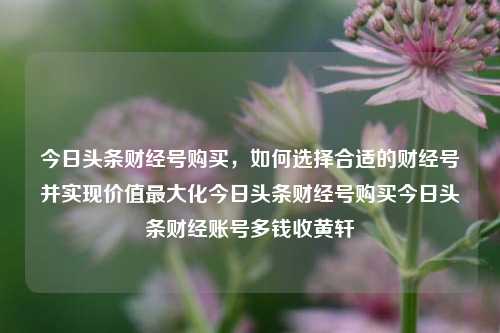 今日头条财经号购买，如何选择合适的财经号并实现价值最大化今日头条财经号购买今日头条财经账号多钱收黄轩