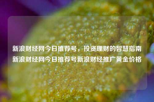 新浪财经网今日推荐号，投资理财的智慧指南新浪财经网今日推荐号新浪财经推广黄金价格