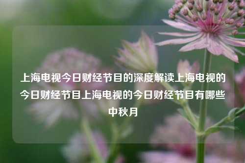 上海电视今日财经节目的深度解读上海电视的今日财经节目上海电视的今日财经节目有哪些中秋月