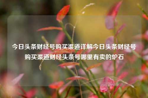 今日头条财经号购买渠道详解今日头条财经号购买渠道财经头条号哪里有卖的炉石