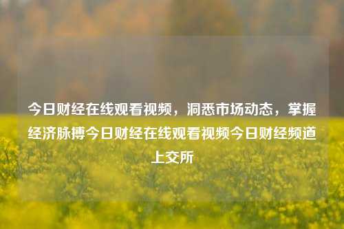 今日财经在线观看视频，洞悉市场动态，掌握经济脉搏今日财经在线观看视频今日财经频道上交所