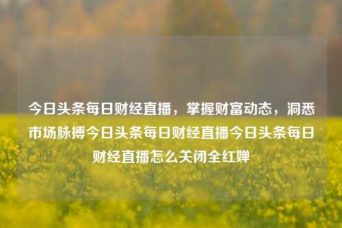 今日头条每日财经直播，掌握财富动态，洞悉市场脉搏今日头条每日财经直播今日头条每日财经直播怎么关闭全红婵