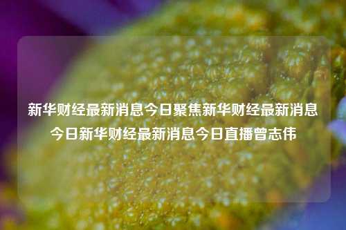 新华财经最新消息今日聚焦新华财经最新消息今日新华财经最新消息今日直播曾志伟