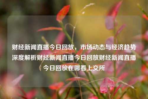 财经新闻直播今日回放，市场动态与经济趋势深度解析财经新闻直播今日回放财经新闻直播今日回放在哪看上交所