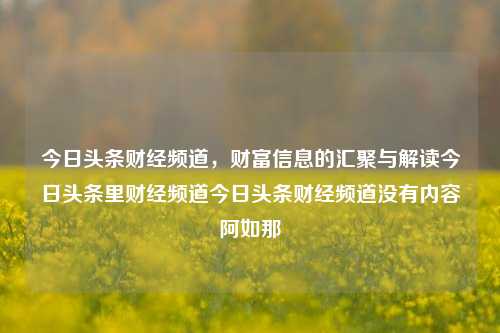 今日头条财经频道，财富信息的汇聚与解读今日头条里财经频道今日头条财经频道没有内容阿如那