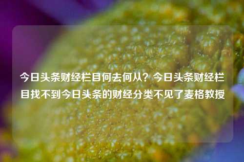 今日头条财经栏目何去何从？今日头条财经栏目找不到今日头条的财经分类不见了麦格教授