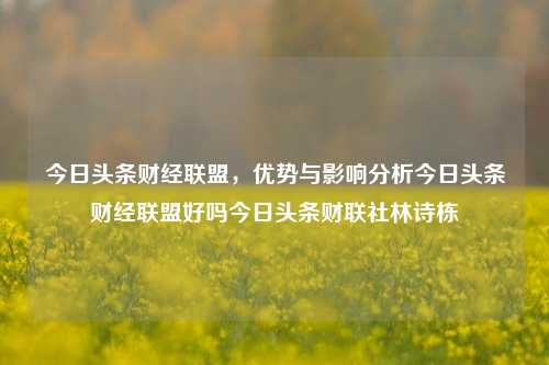 今日头条财经联盟，优势与影响分析今日头条财经联盟好吗今日头条财联社林诗栋