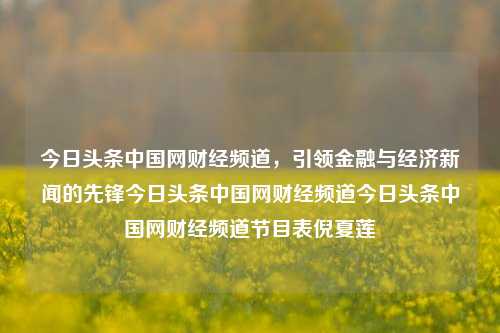 今日头条中国网财经频道，引领金融与经济新闻的先锋今日头条中国网财经频道今日头条中国网财经频道节目表倪夏莲