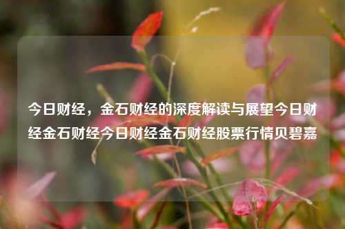 今日财经，金石财经的深度解读与展望今日财经金石财经今日财经金石财经股票行情贝碧嘉