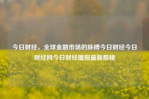 今日财经，全球金融市场的脉搏今日财经今日财经网今日财经播报最新殷桃