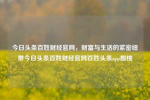 今日头条百姓财经官网，财富与生活的紧密纽带今日头条百姓财经官网百姓头条app殷桃