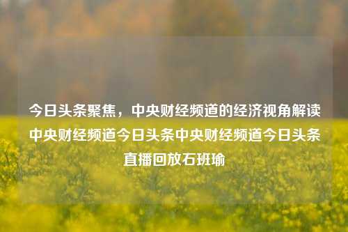 今日头条聚焦，中央财经频道的经济视角解读中央财经频道今日头条中央财经频道今日头条直播回放石班瑜