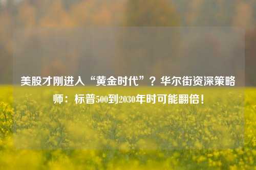 美股才刚进入“黄金时代”？华尔街资深策略师：标普500到2030年时可能翻倍！