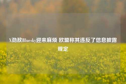 X劲敌Bluesky迎来麻烦 欧盟称其违反了信息披露规定