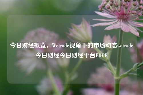 今日财经概览，Wetrade视角下的市场动态wetrade今日财经今日财经平台EDGE