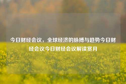 今日财经会议，全球经济的脉搏与趋势今日财经会议今日财经会议解读赏月