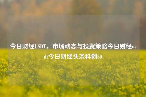 今日财经USDT，市场动态与投资策略今日财经usdt今日财经头条科创50