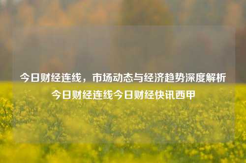 今日财经连线，市场动态与经济趋势深度解析今日财经连线今日财经快讯西甲