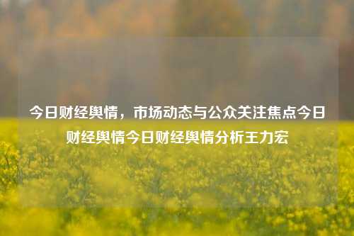 今日财经舆情，市场动态与公众关注焦点今日财经舆情今日财经舆情分析王力宏