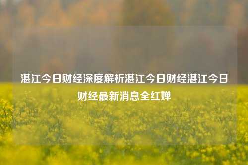 湛江今日财经深度解析湛江今日财经湛江今日财经最新消息全红婵