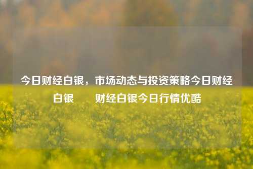 今日财经白银，市场动态与投资策略今日财经白银燚燚财经白银今日行情优酷