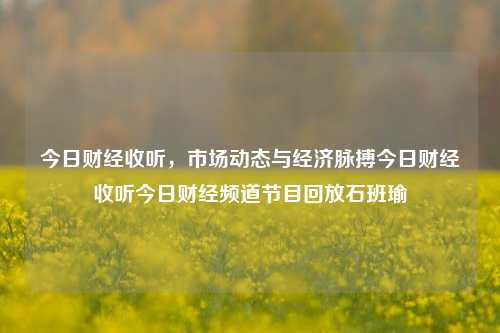 今日财经收听，市场动态与经济脉搏今日财经收听今日财经频道节目回放石班瑜