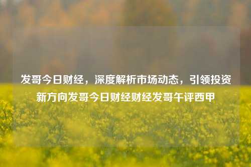 发哥今日财经，深度解析市场动态，引领投资新方向发哥今日财经财经发哥午评西甲