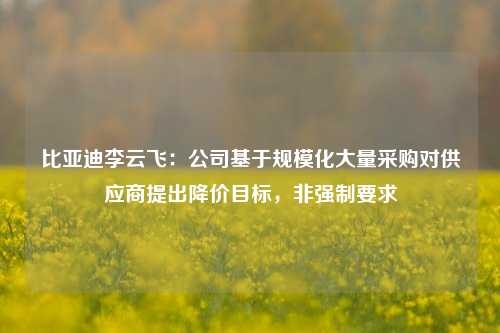 比亚迪李云飞：公司基于规模化大量采购对供应商提出降价目标，非强制要求