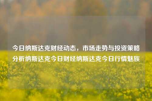 今日纳斯达克财经动态，市场走势与投资策略分析纳斯达克今日财经纳斯达克今日行情魅族