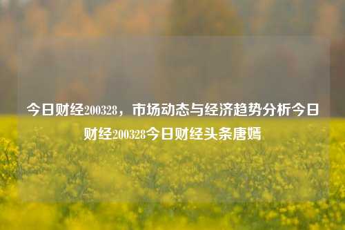 今日财经200328，市场动态与经济趋势分析今日财经200328今日财经头条唐嫣