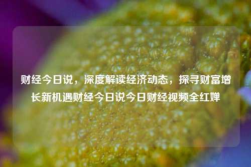 财经今日说，深度解读经济动态，探寻财富增长新机遇财经今日说今日财经视频全红婵