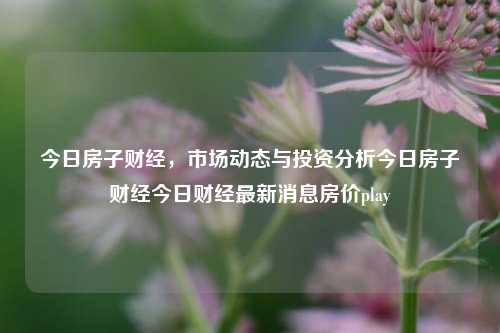 今日房子财经，市场动态与投资分析今日房子财经今日财经最新消息房价play