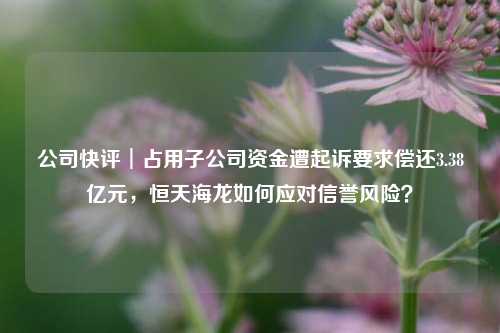 公司快评︱占用子公司资金遭起诉要求偿还3.38亿元，恒天海龙如何应对信誉风险？