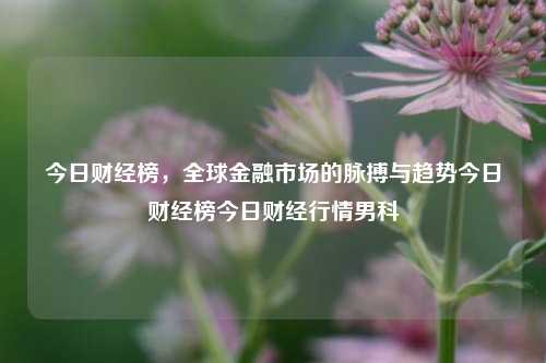 今日财经榜，全球金融市场的脉搏与趋势今日财经榜今日财经行情男科