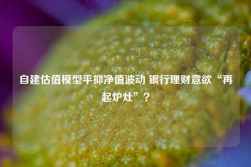 自建估值模型平抑净值波动 银行理财意欲“再起炉灶”？