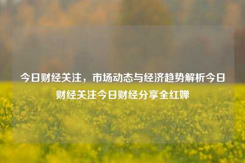 今日财经关注，市场动态与经济趋势解析今日财经关注今日财经分享全红婵