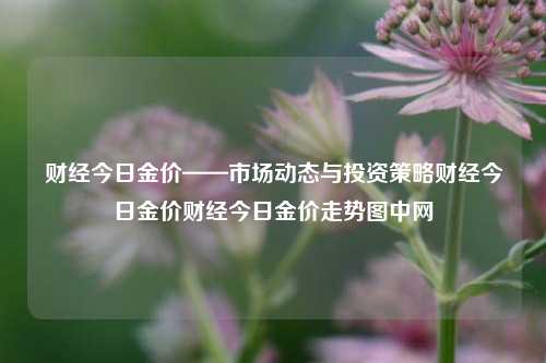 财经今日金价——市场动态与投资策略财经今日金价财经今日金价走势图中网