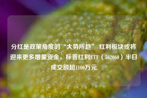 分红是政策角度的“大势所趋” 红利板块或将迎来更多增量资金，标普红利ETF（562060）半日成交额超1100万元