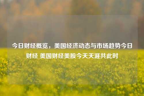 今日财经概览，美国经济动态与市场趋势今日财经 美国财经美股今天天涯共此时