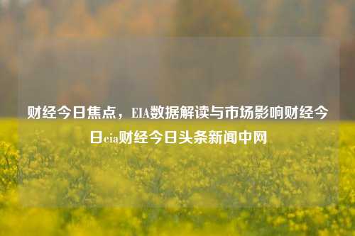 财经今日焦点，EIA数据解读与市场影响财经今日eia财经今日头条新闻中网