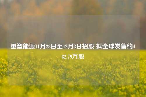 重塑能源11月28日至12月3日招股 拟全球发售约482.79万股