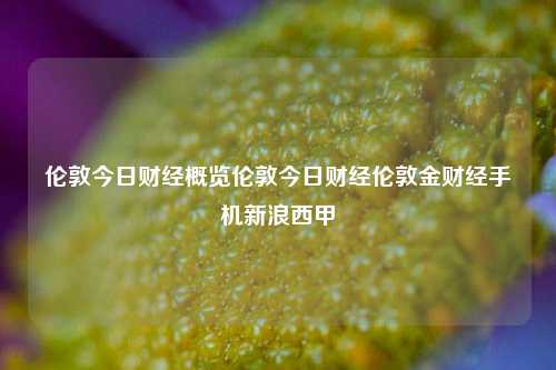 伦敦今日财经概览伦敦今日财经伦敦金财经手机新浪西甲