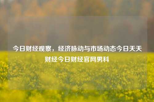 今日财经观察，经济脉动与市场动态今日天天财经今日财经官网男科