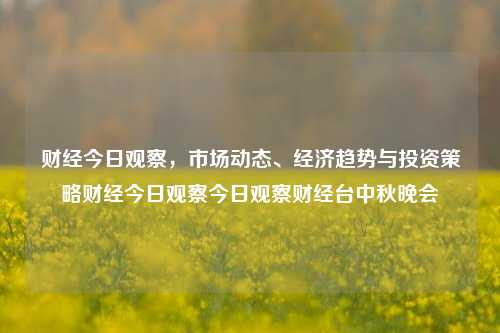 财经今日观察，市场动态、经济趋势与投资策略财经今日观察今日观察财经台中秋晚会