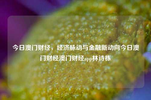 今日澳门财经，经济脉动与金融新动向今日澳门财经澳门财经app林诗栋